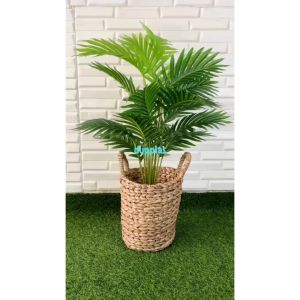 Pohon Hias Tanaman Artificial Palem Kelapa Hijau X18 Semilatex Cover Eceng Gondok Handle Pajangan Hiasan Ruangan