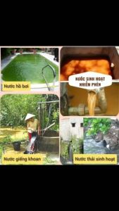 [HCM]Men vi sinh xử lý nước Chế phẩm xử lý nước sinh hoạt khử phèn khử độc tố hiệu quả