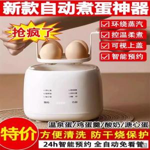 Automatic Small Size Egg Cooker 2024 New Model DIY Brand Kitchen Appliance Multifunctional Home Breakfast Machine Egg Steamer