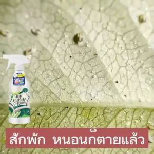 ยาฆ่าแมลง 500ml คุ้มค่า กำจัดเพลี้ย/หนอน/แมลงกัดกินใบ ลดสารตกค้างเมื่อใช้ตามคำแนะนำ ฟรีเจลกันยุง
