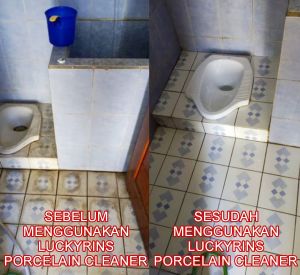 PENGHILANG KERAK KAMAR MANDI TERBAIK