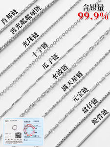 Extended 999 Pure Silver Necklace Womens Snake Bone Chain 2024 New Thick Fine Chain without Pendant 925 Silver Sweater