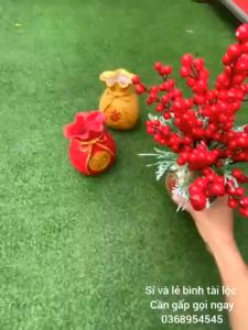 Bình hoa túi tiền. dùng trang trí nhà cửa .cắm đào đông cắm lúa mạch