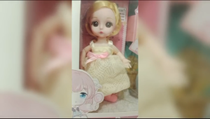 Bộ Búp Bê Công Chúa Kèm Xe Đạp Phụ Kiện