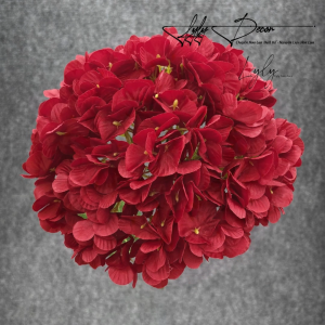 5-10 Đầu bông cẩm tú cầu vải lụa 29CM decor trang trí nhà cửa Hoa Lụa Decor