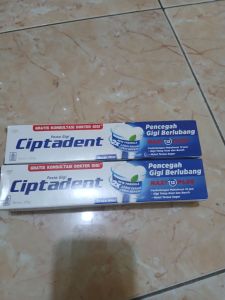 Ciptadent isi 2 x 225g Pasta Gigi Fresh Mint Maxi 12 Plus