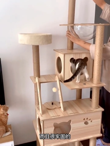 สวนสนุกแมว 6 ชั้น - มีแคปซูลนอนและเสาหลายแบบให้เลือกปรับเปลี่ยน สอนฟรีไม่มีกั๊ก