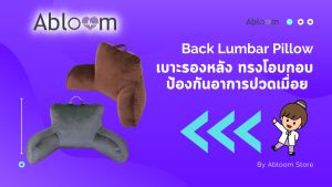 Abloom เบาะรองหลัง ทรงโอบกอบ ป้องกันอาการปวดเมื่อย ออฟฟิศซินโดรม Back Lumbar Pillow