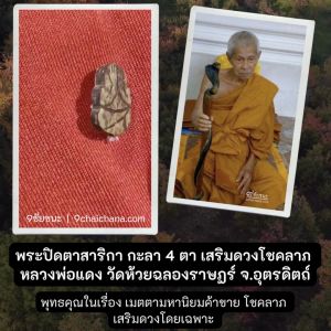 พระปิดตาสาริกา เนื้อยกะลา 4 ตา เสริมดวงโชคลาภ หลวงพ่อแดง วัดห้วยฉลองราษฎร์ รับประกันความแท้100%