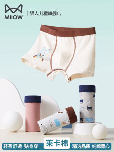Pure Cotton Boys Underwear Breathable Flat Angle Pants Comfortable Short Pants Home Wear Cartoon Style Kids Innerwear