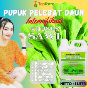 Pupuk Daun untuk Sawi & Caisim: Cara Menggunakan Pupuk Hijau Daun