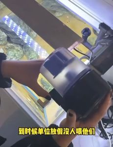 SUNSUN Auto Feeder Aquarium With Timer 12/24hours Fish Feeder Pengumpan Automatik 自动喂食器水族箱带定时器 12/24 小时喂鱼器(READY STOCK)