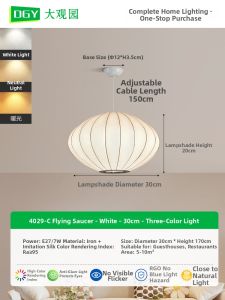 DGY | Wabi Sabi Style Custom Creative Restaurant Bedroom Ceiling Light