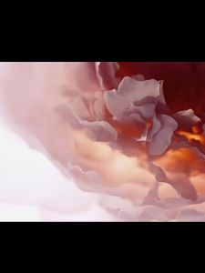 Ruyi Blush儒意腮红女高光修容官方旗舰店正品膨胀色晒红泥膏新款学生平价Blush womens high light repair volume expansion color sun red mud cream