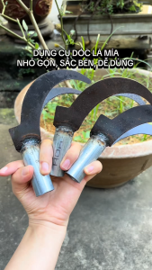 Dụng Cụ Dóc Lá Mía 2 Răng