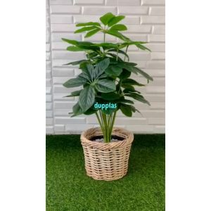 Pohon Hias Tanaman Artificial Anubias Hijau X18 Semilatex Cover Anyaman Rotan Bulat Pajangan Dekorasi Studio Aesthetic