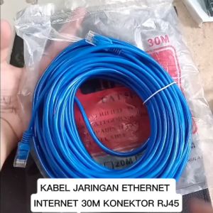 V198 ORI KABEL LAN ETHERNET 30 METER INTERNET JARINGAN DATA NETWORK CABLE RJ45 PATCH OUTDOOR WATERPR