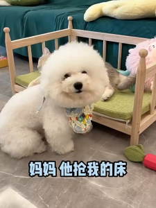 Lovinland Dog Bed Wooden Elevated Cooling Pet Cat Bed with Cushion Pet Shelter Dog House Elevated Kennel Sofa for Small Medium Dogs