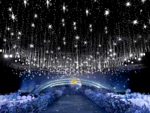 Wedding Decoration Lamp Sea Urchin Chandeli Crystal Luminous Transparent led Ceiling Light Party Scene Decoration