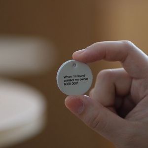 Basic Soft Leather Cat Collar with safety breakaway buckle