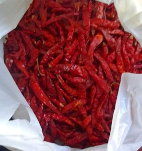 1 KG GRAM PACKING CABE RAWIT CAPLAK /TEJA SUPER PEDAS BERSIH KWALITAS SUPER