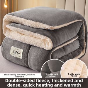 HAOMIAN | Thickening and Warm Cotton Quilt 5kg