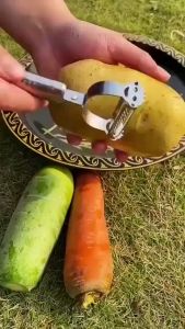 pisau kupas stainless pisau buah anti karat alat kupas buah fruit peeler double knife SH U12