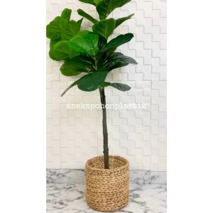 Pohon Imitasi Tanaman Hias Ketapang X3 T140 Latex Artificial Pot Dasar Cover Eceng Gondok Hiasan Studio Aesthetic