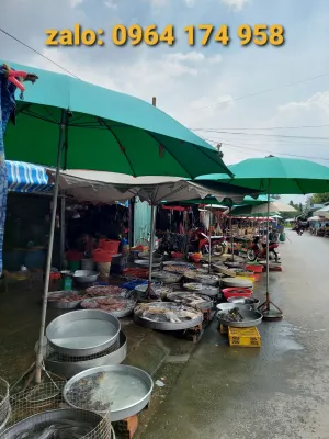 Dù 3 mét gồm 10 kèo loại vải tốt