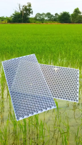 【100PCS】ถาดเพาะกล้านาโยน แพ็ค 1-700 ชิ้น 434 หลุม เกรดA ถาดนาโยน ถาดเพาะกล้า ถาดเพาะต้นข้าว ถาดเพาะนาโยน เพาะกล้าข้าว