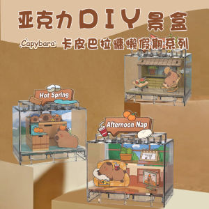 Mô Hình Thủ Công DIY Acrylic Capybara Akoya Hộp Cảnh Giải Trí Cho Kỳ Nghỉ Vui Chơi Đồ Chơi Trẻ Em Quà Tặng