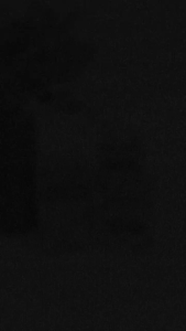 Sari Kutuk XBUMIN9 Ekstrak Ikan Gabus Kutuk Herbal Luka Operasi Diabetes isi 20 Kapsul Al-Ghuroba