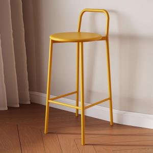 Modern Luxury Designer Bar Stool with Backrest