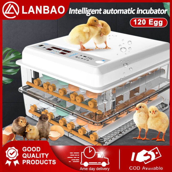 【COD+Spot】220V Egg Automatic Digital Incubator 16/36/64/120 Eggs Fully ...