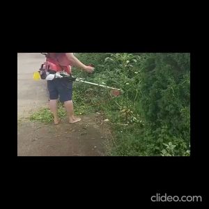 Máy cắt cỏ gx35 máy cắt cỏ 4 thì xăng riêng nhớt riêng hàng loại 1 bền đẹp bảo hành 6 tháng