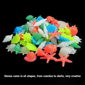 Talao Colorful Luminous Stones Starfish Conch Shaped For Aquarium Walkways Garden Decorative 2-3cm