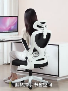 Ergonomics chair Office Chair Computer Chair Gaming Chair High Back Comfortable Meeting Room with Adjustable Armrest