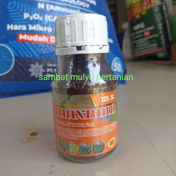 Insektisida MAXRAM pembasmi kutu kebul dan wereng bahan aktif