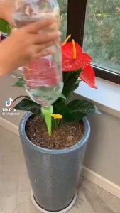 Auto Plant Self Watering Device Slow Release Watering System Automatic Device Bottle Watering Auto Plant Self Watering Device Slow Release Watering System Automatic Device Bottle Watering