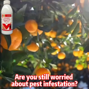 ✨100 Bugs. 1 Solution.✨Abamectin Insecticide 1000ml Insecticide for Plants