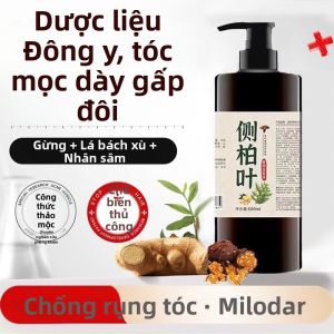 Shampoo Tre Lá Tự Nhiên Chống Rụng Tóc Kiểm Soát Dầu Tạo Volume Chống Gàu Giảm Ngứa Kích Thích Mọc Tóc Dành Cho Nam Và Nữ