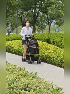 Xe Đẩy Thú Cưng Gập Gọn Bán Tự Động Dễ Dỡ Rời