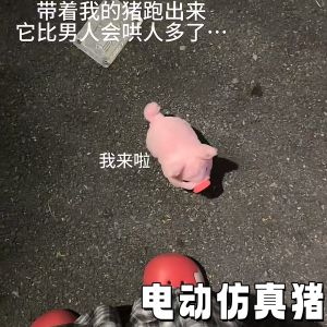 Đồ Chơi Chó Điện Tử Mô Phỏng Búp Bê Chó Điện Tử Đa Chức Năng Có Thể Đi Lại Và Phát Ra Tiếng Kêu Đồ Chơi Chó Mềm Cho Trẻ Em