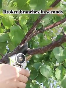 Pruner Cut Plant Trim Horticulture Secateur Shrub Garden Scissor Tool Branch Shear Orchard Pruning Shears