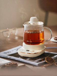 [China Plug Adapter Needed] Bear | Portable Multi-Function Tea Kettle