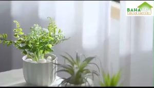 MÁY CẮT LÔNG XÙ TRÊN QUẦN ÁO ĐỒ DẠ NỈ. "BAHAMAR" xén bỏ lớp lông bông xù trả lại bề mặt mịn màng cho quần áo và vỏ bọc đệm gối dựa...