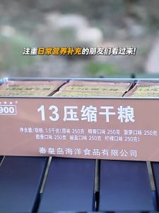 SPECIAL FORCES | Emergency Long-Term Reserve Compressed Biscuits