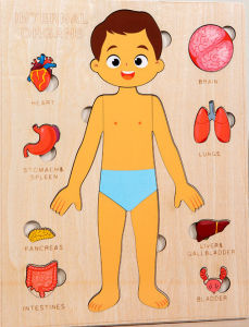 Montessori Puzzles for Toddlers Human Body Puzzle Anatomy Play Set Preschool Game Learning Human Body Parts Anatomy Skeleton Toy