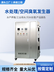 Industrial High Concentration Large Output Ozone Generator Aquaculture Water Treatment Equipment Oxygen Source Disinfection Machine