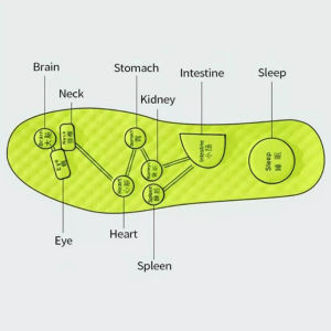 แผ่นรองเท้า แผ่นพื้นรองเท้า พื้นนิ่มระบายอากาศ พื้นรองเท้า